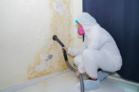 Why You Should Choose Our Mold Remediation Services in Gothenburg, NE